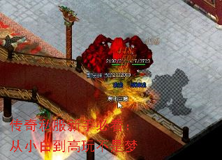 传奇私服新手必看:从小白到高玩不是梦 传奇私服新手必看:从小白到高玩不是梦