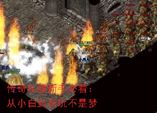 传奇私服新手必看:从小白到高玩不是梦 传奇私服新手必看:从小白到高玩不是梦