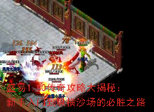 盛易1.80传奇攻略大揭秘：新手入门到纵横沙场的必胜之路