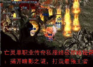 亡灵单职业传奇私服终极攻略秘籍:揭开暗影之谜,打造最强王者 亡灵单职业传奇私服终极攻略秘籍:揭开暗影之谜,打造最强王者