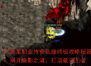 亡灵单职业传奇私服终极攻略秘籍:揭开暗影之谜,打造最强王者 亡灵单职业传奇私服终极攻略秘籍:揭开暗影之谜,打造最强王者