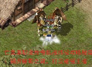 亡灵单职业传奇私服终极攻略秘籍:揭开暗影之谜,打造最强王者 亡灵单职业传奇私服终极攻略秘籍:揭开暗影之谜,打造最强王者