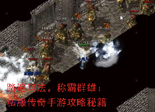 踏遍玛法，称霸群雄：私服传奇手游攻略秘籍