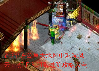 在3平方公里大地图中叱咤风云:新手入门到进阶攻略大全 在3平方公里大地图中叱咤风云:新手入门到进阶攻略大全