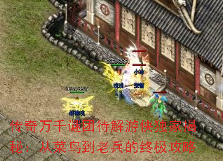 传奇万千谜团待解游侠独家揭秘：从菜鸟到老兵的终极攻略