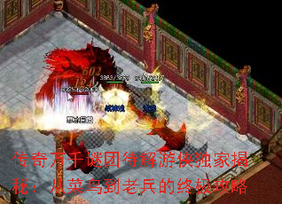 传奇万千谜团待解游侠独家揭秘：从菜鸟到老兵的终极攻略