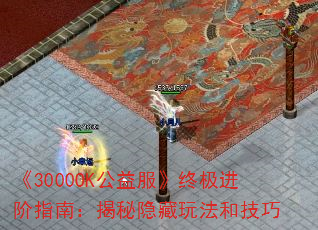 《3000OK公益服》终极进阶指南：揭秘隐藏玩法和技巧