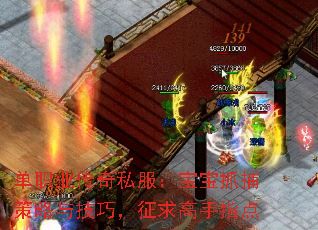 单职业传奇私服：宝宝抓捕策略与技巧，征求高手指点