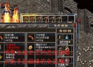 传奇私服之法师进阶攻略：从新手到巅峰的全面解析