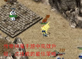 传奇神魔手游中高效升级:点技能的最佳策略 传奇神魔手游中高效升级:点技能的最佳策略
