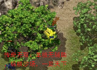 传奇无双：单板无辅助，纵横沙场，一览天下