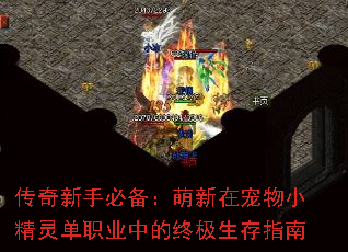 传奇新手必备：萌新在宠物小精灵单职业中的终极生存指南