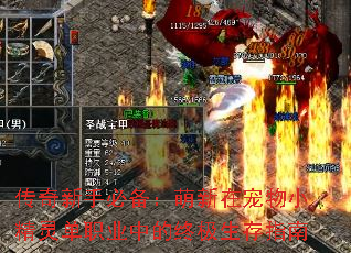 传奇新手必备：萌新在宠物小精灵单职业中的终极生存指南